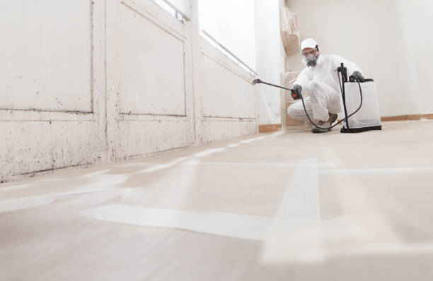 24/7 Emergency Attic Mold Remediation experts in Springfield, PA